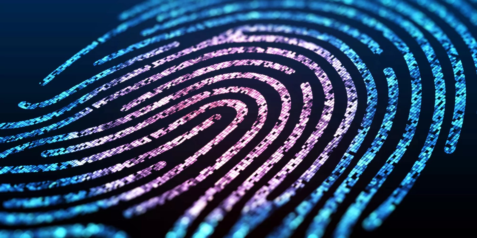 DSGVO-Schutz und kosten externer datenschutzbeauftragter vergleichen