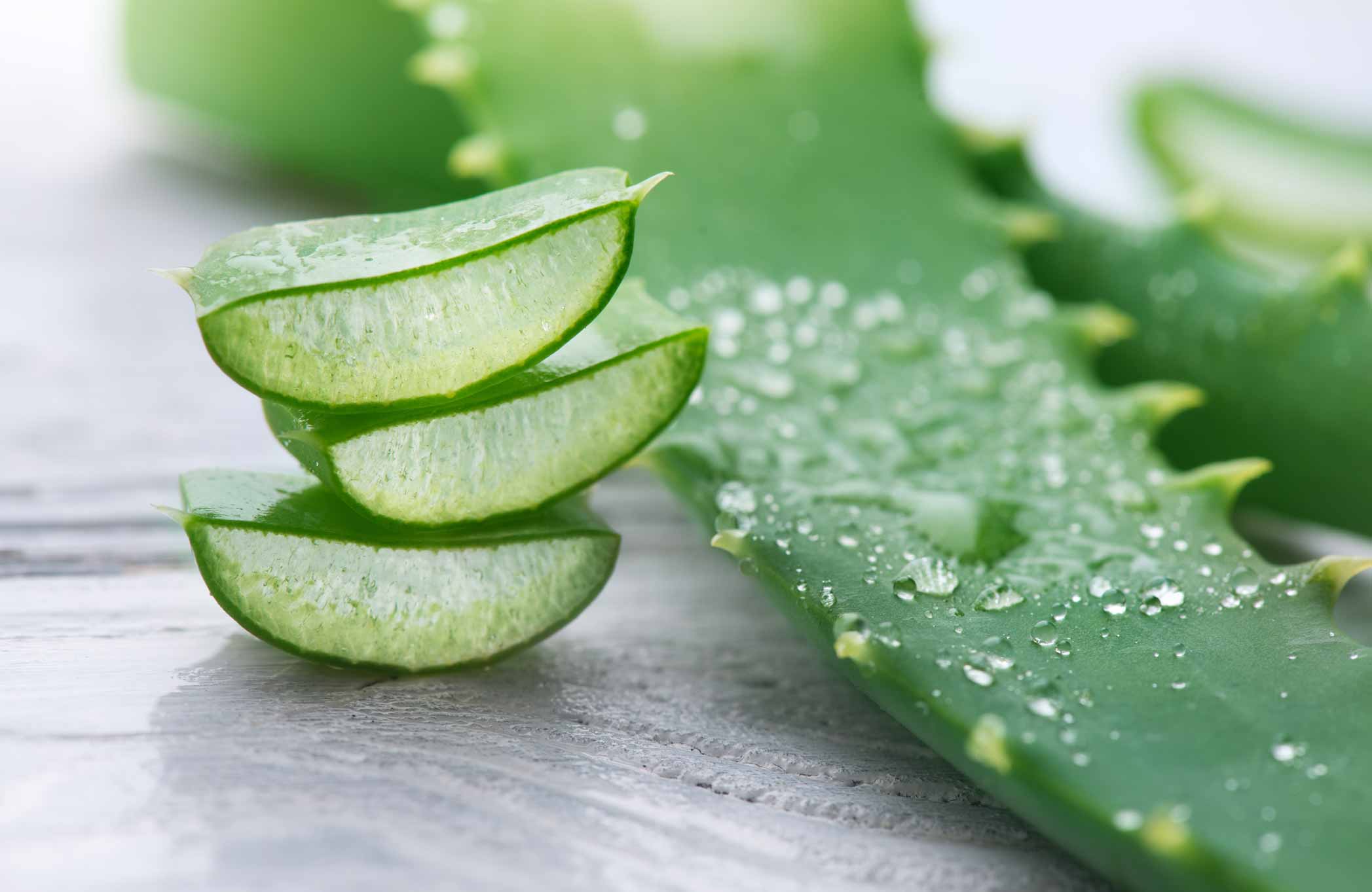 Entdecke die Kraft der Aloe mit Forever Aloe Lips: Pflege für deine Lippen