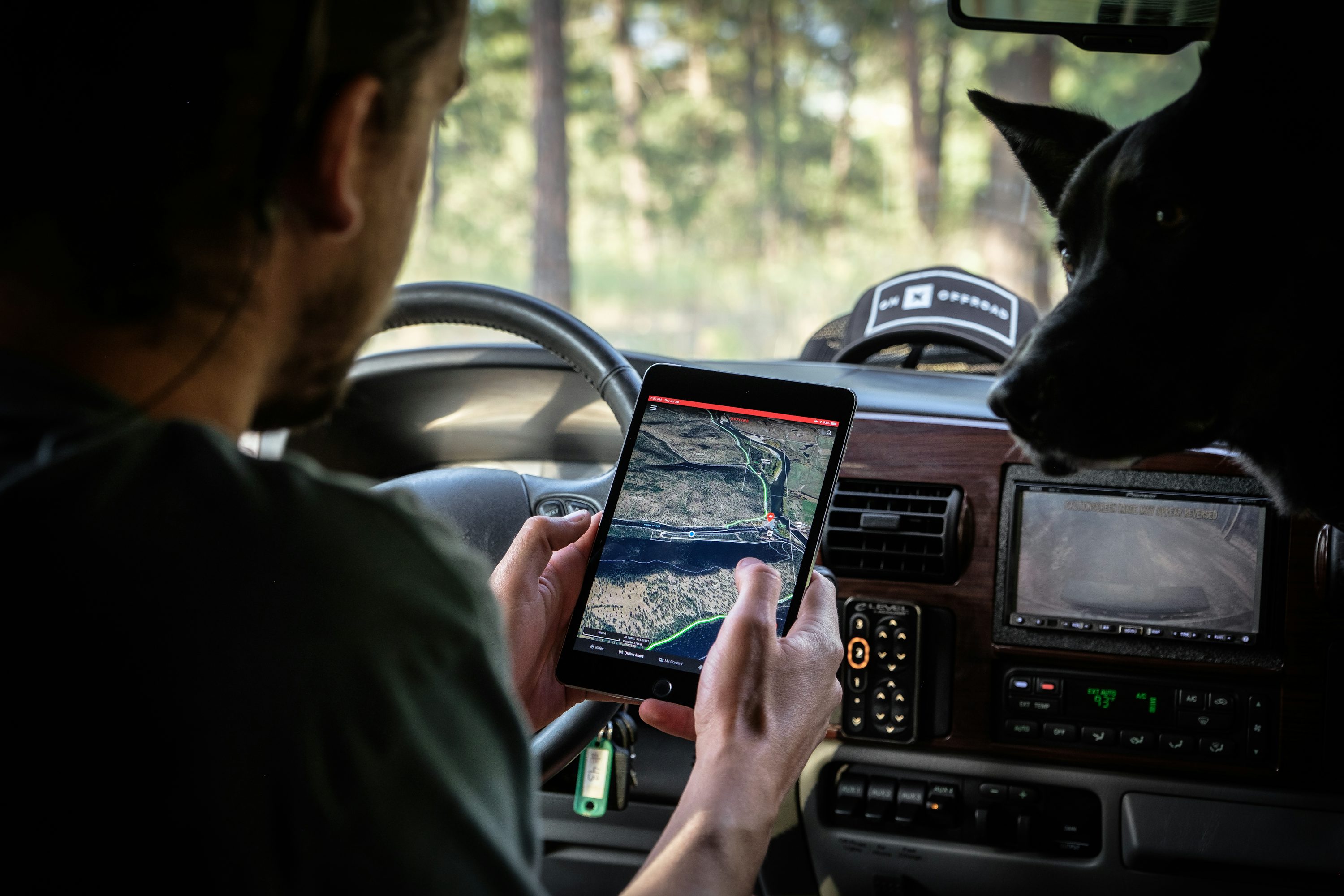 GPS Tracker Hund: Sehen Sie, wo Ihr Hund geht, mit dem Spotter GPS Tracker